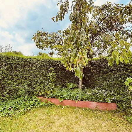 And Cozy Family House At Center *