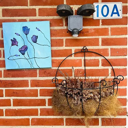 Villa And Cozy Family House At Center