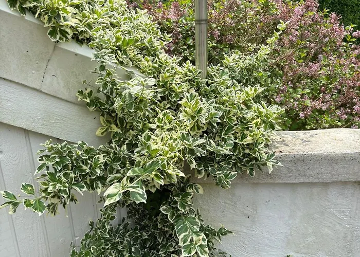 And Cozy Family House At Center