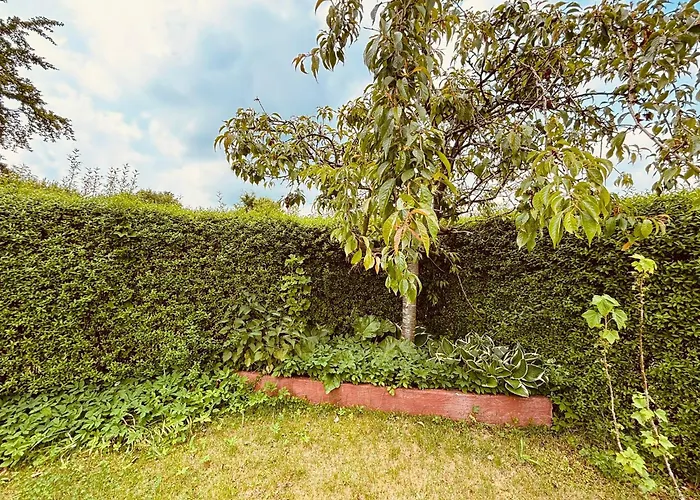 And Cozy Family House At Center *